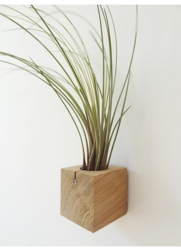 Lot de trois cubes en Chêne clair