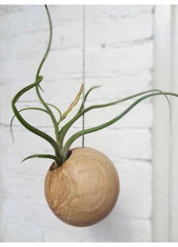 Sphere en Chêne clair fixation en acier.