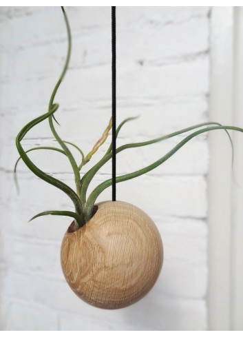 Sphere en Chêne clair (corde noire)