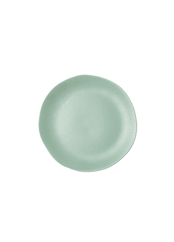 Assiette 'jardin de maguelone' Artichaut S