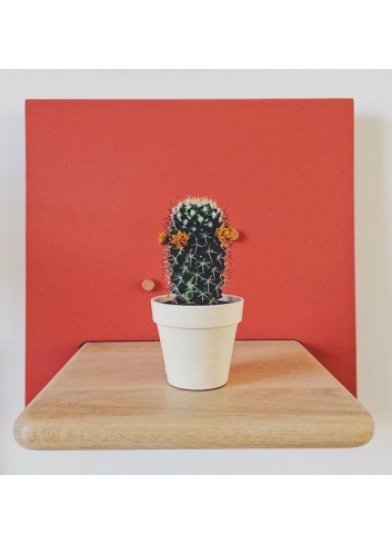 Marcel module 3 Rose Pomelo